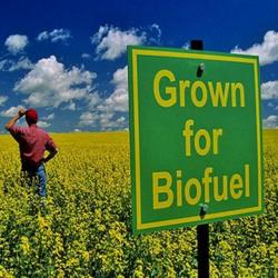 biocarburanti8_