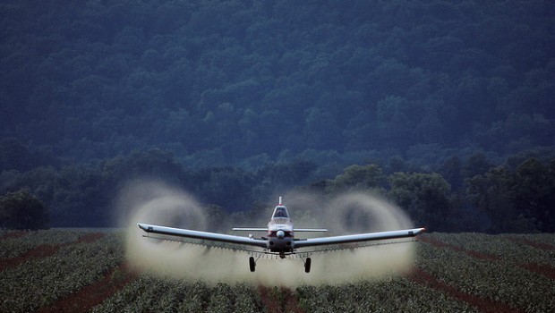 pesticidi-620x350