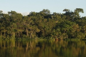 Ecuador-giungla-Yasuni-586x390