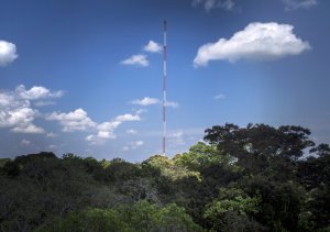 torre-amazzonia-007
