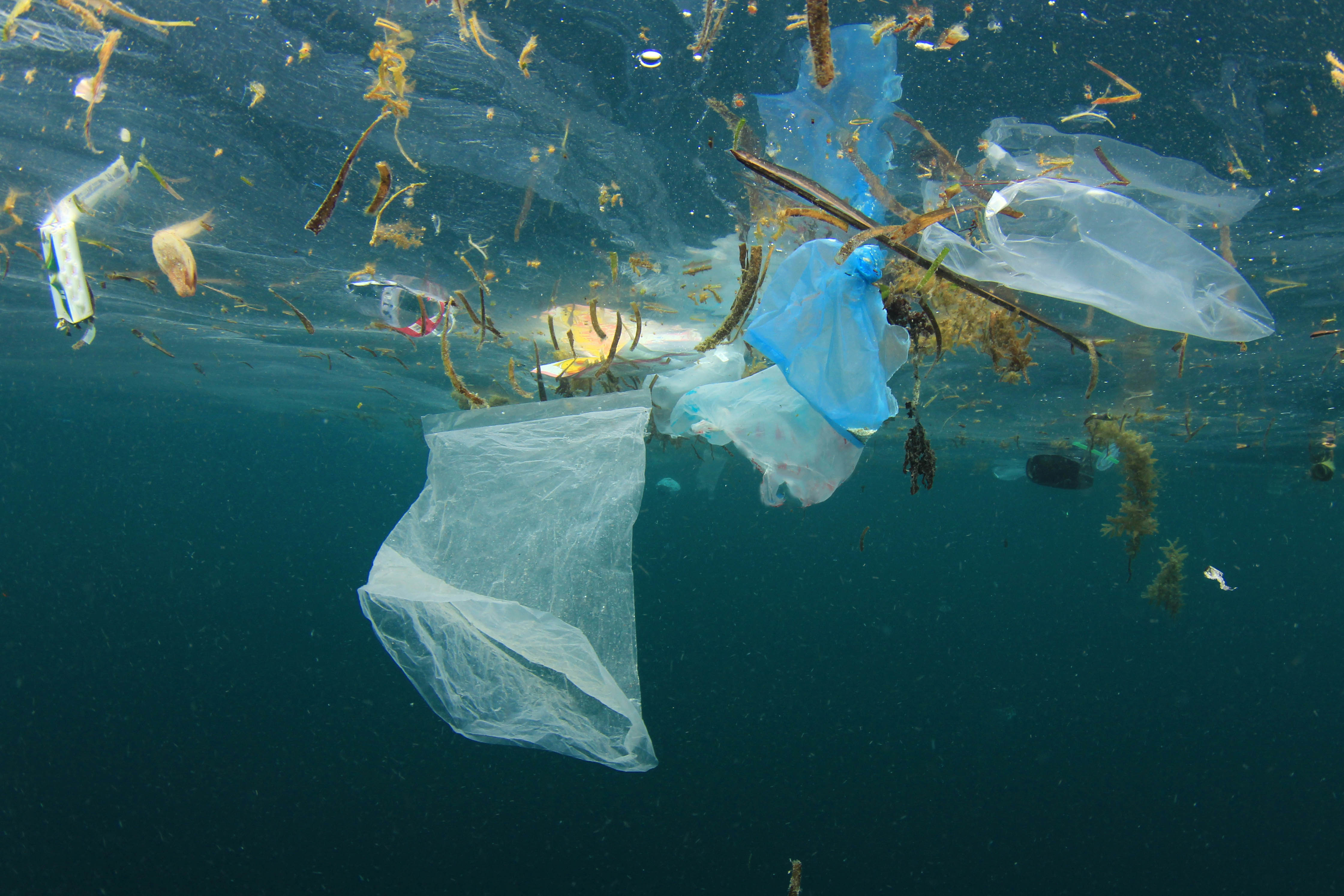 Plastic ocean pollution - plastic bag and rubbish floating in ocean.